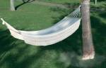 Hammocks
